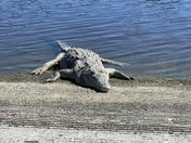 Everglades National Park