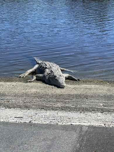 Everglades National Park
