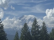 Mt Rainier National Park