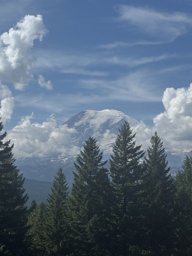 Mt Rainier National Park