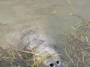 Everglades National Park 