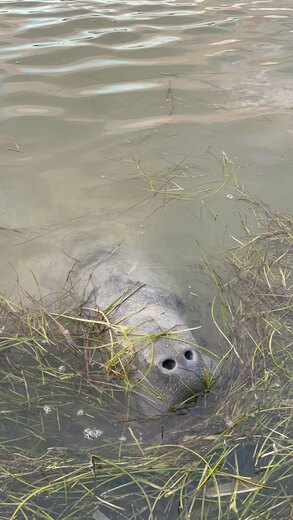 Everglades National Park 