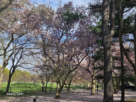 Capitol Mall