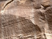 Capitol Reef National Park 