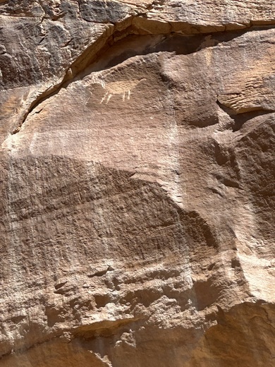 Capitol Reef National Park 