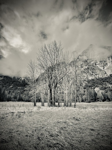 Yosemite National Park 