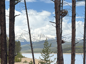 Pike-San Isabel National Forest