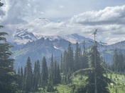 Mt Rainier National Park