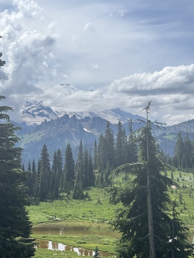 Mt Rainier National Park
