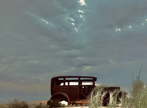 Petrified Forest National Park
