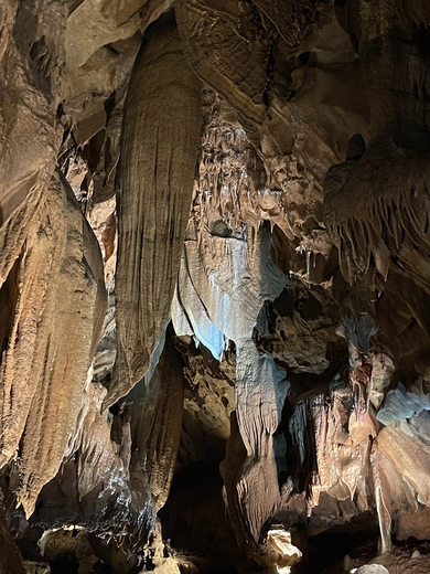 Mammoth Cave National Park