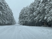 Huron National Forest