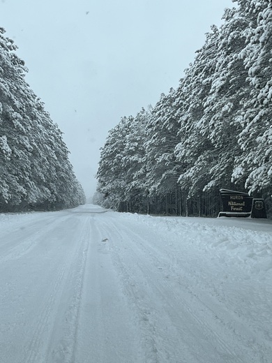Huron National Forest