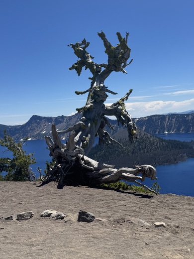 Crater Lake National Park