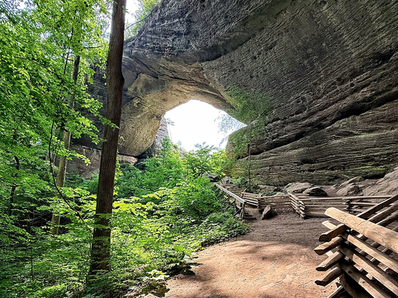 Daniel Boone National Forest