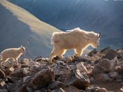 Grays Peak National Recreation Trail