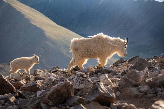 Grays Peak National Recreation Trail