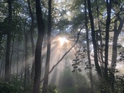 Nantahala National Forest 