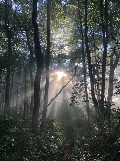 Nantahala National Forest 