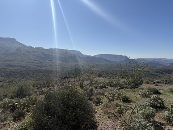 Tonto National Forest