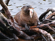 Grand Teton National Park