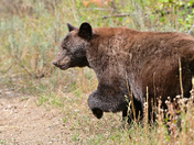 Grand Teton National Park
