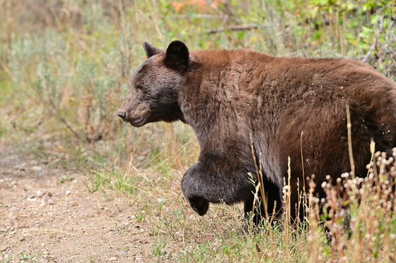 Grand Teton National Park