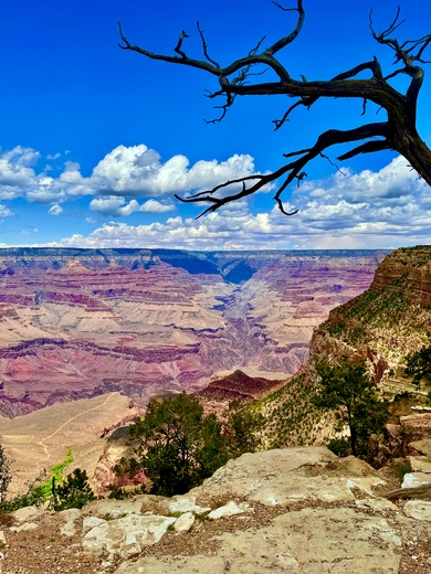 Grand Canyon National Park