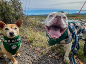Mount Saint Helens National Volcanic Monument 