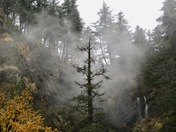 Columbia River Gorge National Scenic Area