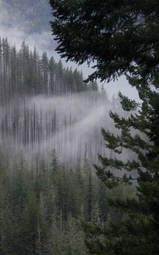 Columbia River Gorge National Scenic Area