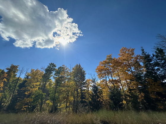 Santa Fe National Forest