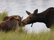 Rocky Mountain National Park 