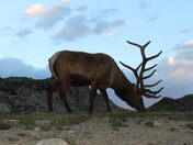 Rocky Mountain National Park 