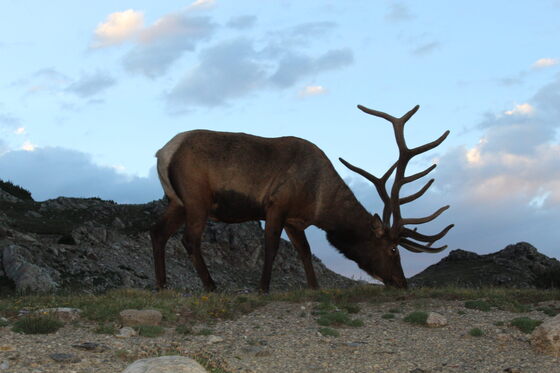 Rocky Mountain National Park 