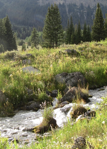 Granite Hot Springs