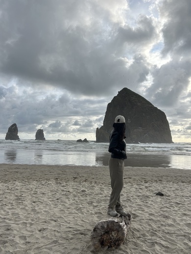 Olympic National Park 