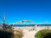 Blackrock Trail, Jacksonville, FL