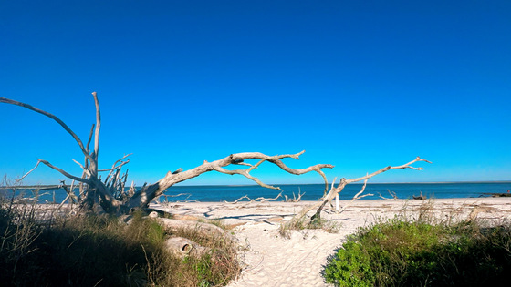 Blackrock Trail, Jacksonville, FL
