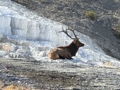 Yellowstone National Park
