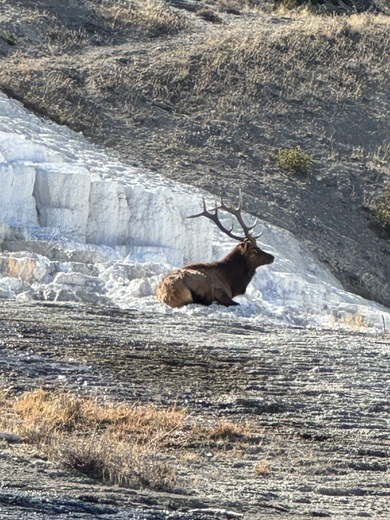 Yellowstone National Park