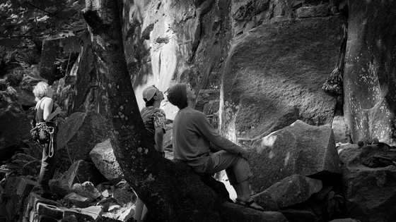 Index climbing wall 