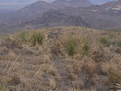 Big Bend National Park