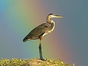 Padre Island National Seashore 