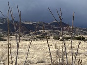 Carrizo Plain National Monument