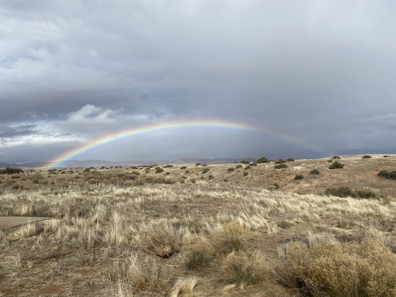 Carrizo Plain National Monument