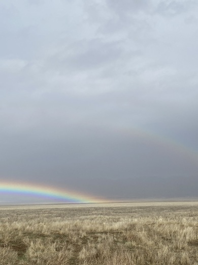 Carrizo Plain National Monument