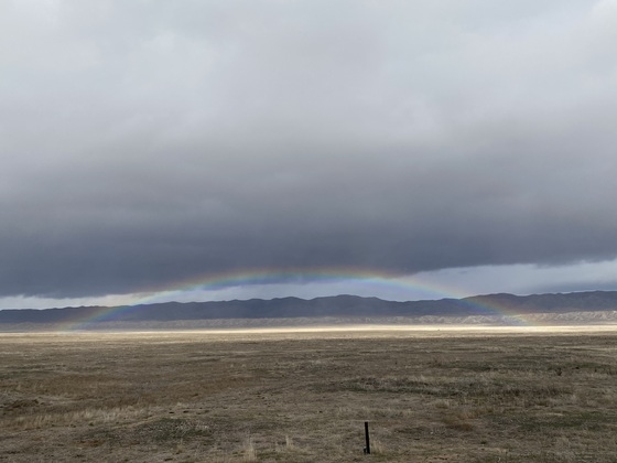 Carrizo Plain National Monument