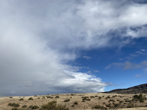 Carrizo Plain National Monument