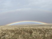 Carrizo Plain National Monument
